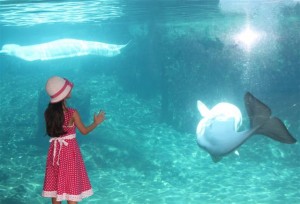 Little girl and 2 whales