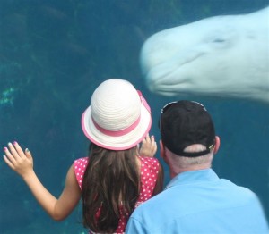 5 year old girl and beluga whale