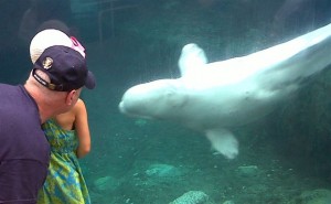 Dad, girl and beluga