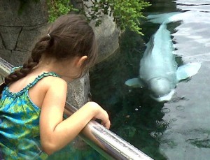 Little girl and beluga in the rain