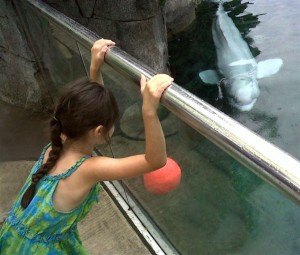 Little girl and beluga playing with orange ball