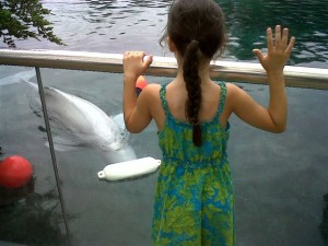 Little girl and beluga playing