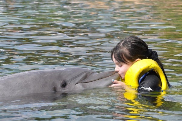 6 year old kisses dolphin