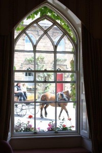 England, horse and carriage, horse in window