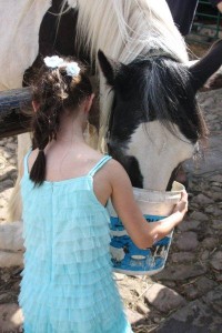 England, watering horse, child gives horse water