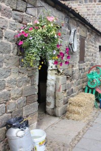 English farm, farmhouse, flowers at farmhouse, flowers