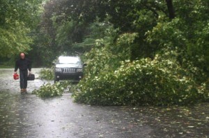 Hurricane Irene father takes down tree