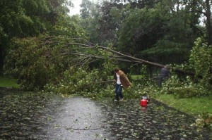 Hurricane Irene teen helps take down tree