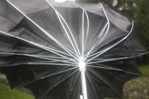 Hurricane Irene  umbrella  umbrella backwards from wind