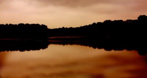 Lake, lake at sunset, large lake, lake and trees