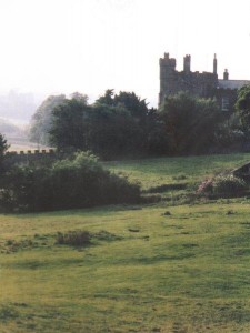 Medieval castle, misty castle