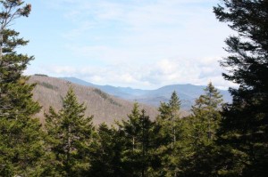New Hampshire, White Mountain Forest, National Forest, caving, hiking, marshmallows, covered bridge, The Flume, Lost River, glacial gorges, waterfalls (1)