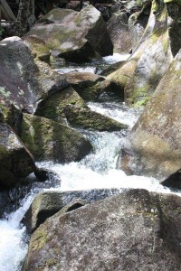 New Hampshire, White Mountain Forest, National Forest, caving, hiking, marshmallows, covered bridge, The Flume, Lost River, glacial gorges, waterfalls (1 (4)