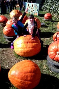 Pumpkin patch, fun in Autumn, crisp air, sunny skies, white pumpkins, rainbow, strawberry fields, strawberries (1)